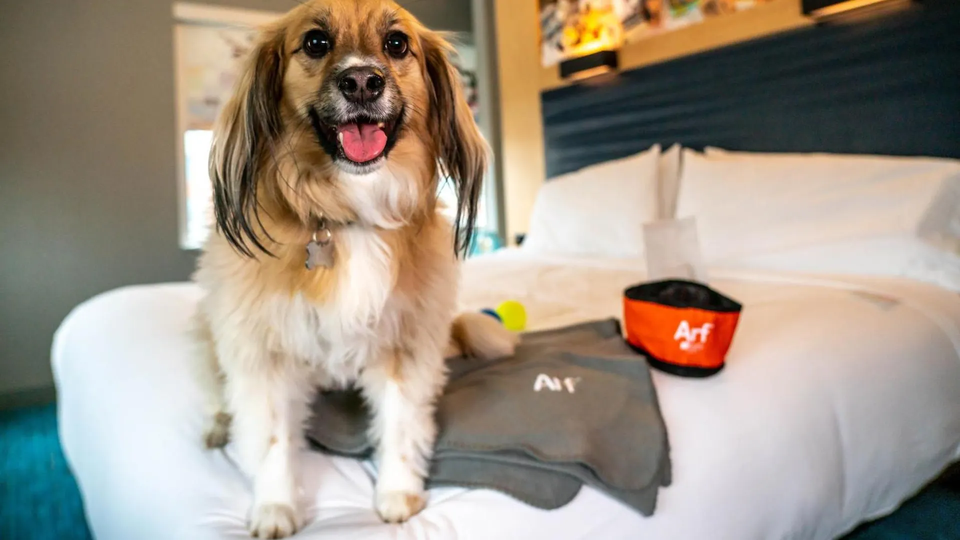 Hotel Aloft Louisville Downtown